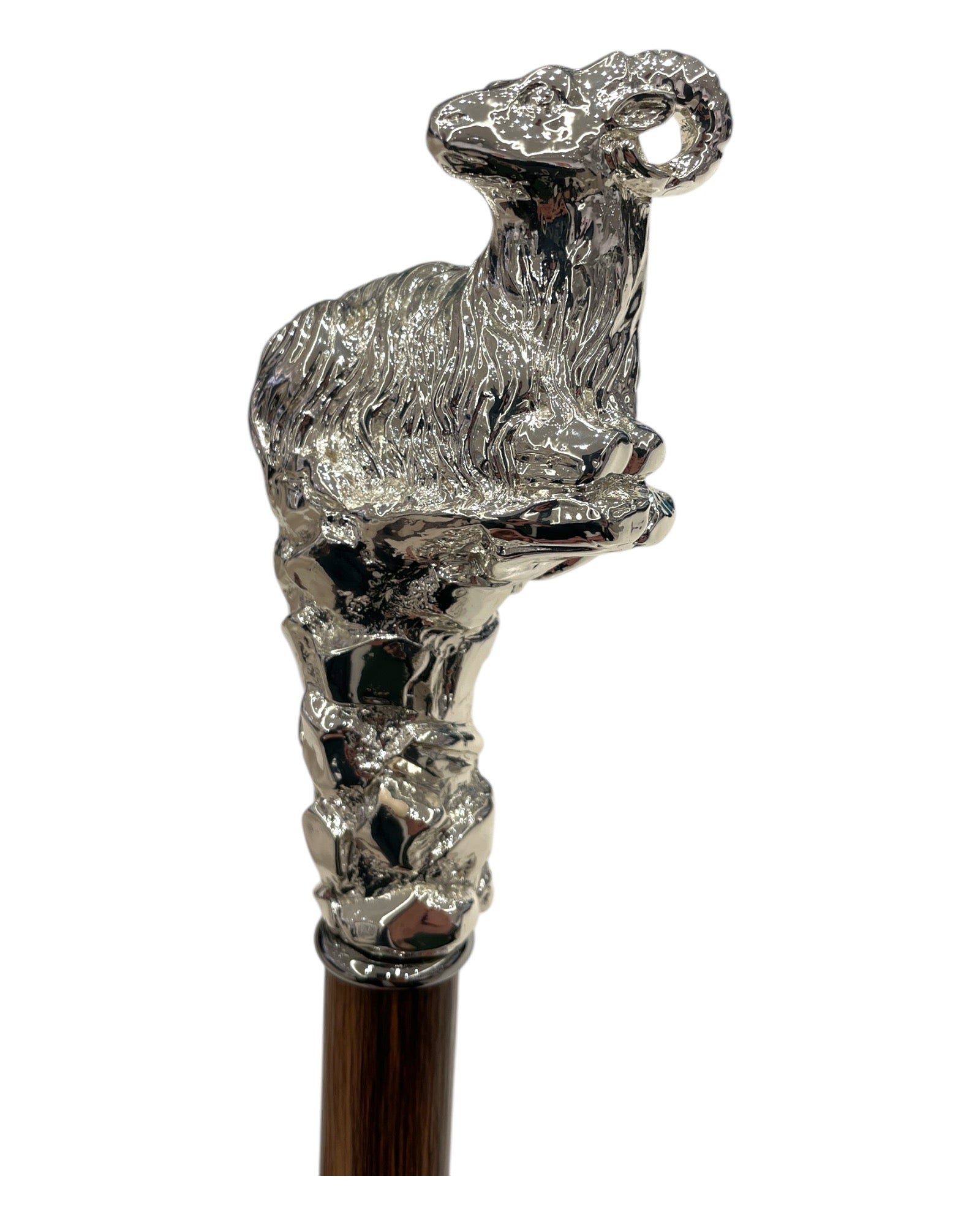 Aries Long Handled Brass Shoehorn - Silver/Chestnut SHOEHORN