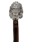 Einstein Long Handled Shoehorn - Silver/Chestnut SHOEHORN